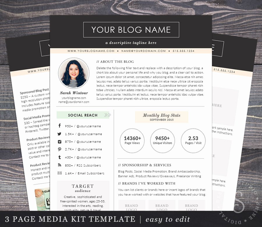 Press Kit Templates Free Luxury Media Kit Template the Modern Darling Mac or Pc Word and