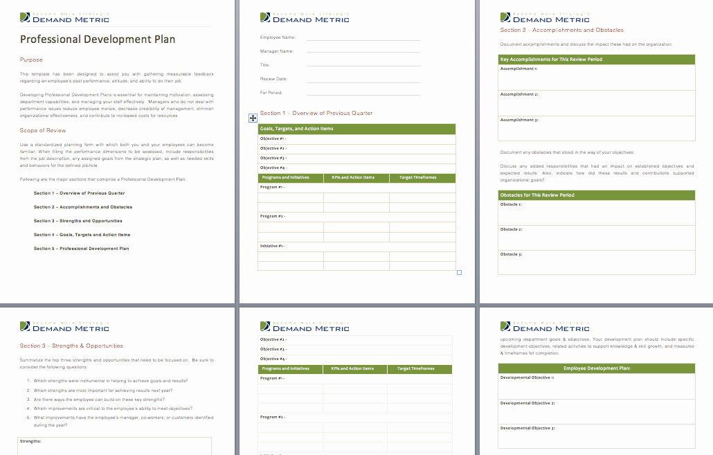 Professional Growth Plan Templates Best Of Pin by Demand Metric On Demand tools