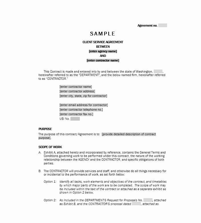 Professional Services Agreement Template Unique 50 Professional Service Agreement Templates &amp; Contracts