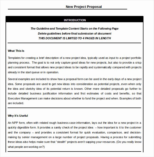 Project Proposal Template Word Lovely 15 Word Project Templates Free Download