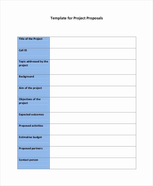 Project Proposal Template Word Luxury Simple Project Proposal Example