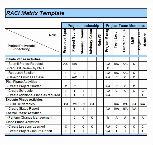 Raci Chart Template Excel Best Of Sample Raci Chart 6 Free Documents In Pdf Word Excel