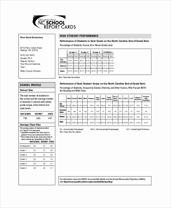 Report Card Template Pdf Beautiful Sample Report Card 7 Documents In Pdf Word