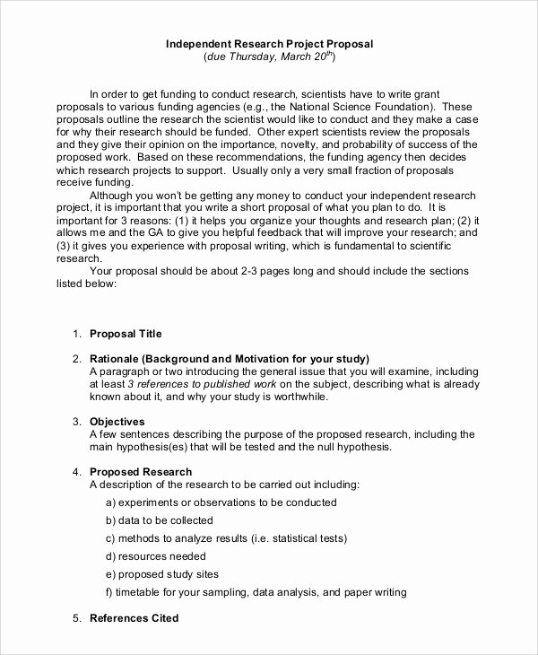 Research Project Proposal Template Lovely 20 Sample Project Proposals Pdf Word Pages