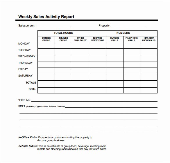 Sales Activity Report Template Best Of Weekly Activity Report Template – 23 Free Word Excel