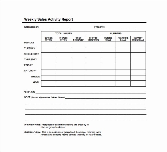 Sales Activity Report Template Lovely Sample Sales Report Template 7 Free Documents Download