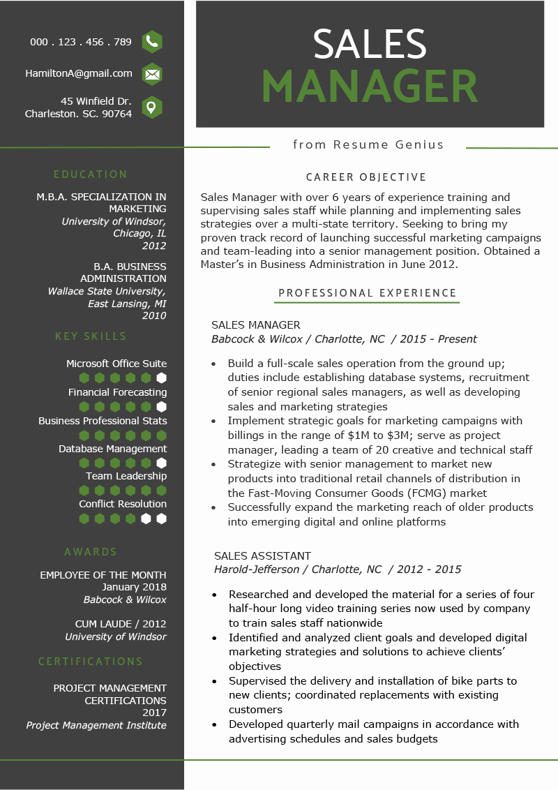 Sales Resume Template Word Best Of Sales Manager Resume Sample &amp; Writing Tips