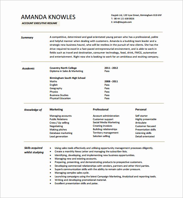 Sales Resume Template Word Elegant Executive Resume Template and What You Should Include