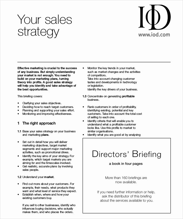 Sales Strategy Plan Template Awesome 12 Sales Strategy Templates Doc Pdf