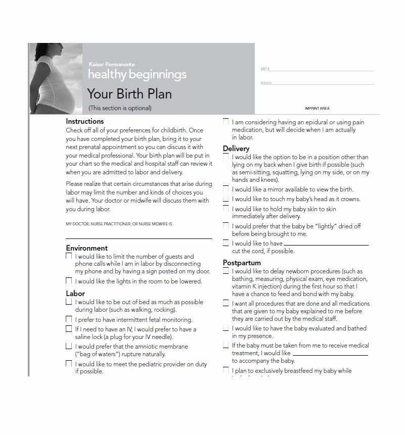 Sample Birthing Plan Template Beautiful 47 Printable Birth Plan Templates [birth Plan Checklist