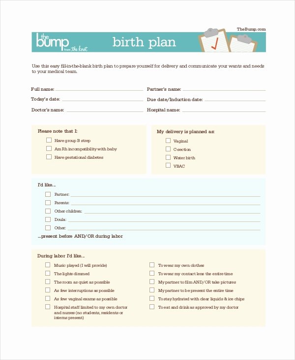 Sample Birthing Plan Template Fresh Birth Plan Template 11 Free Word Pdf Documents