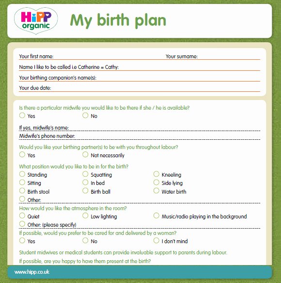 Sample Birthing Plan Template Inspirational Free 10 Birth Plan Templates In Free Samples Examples