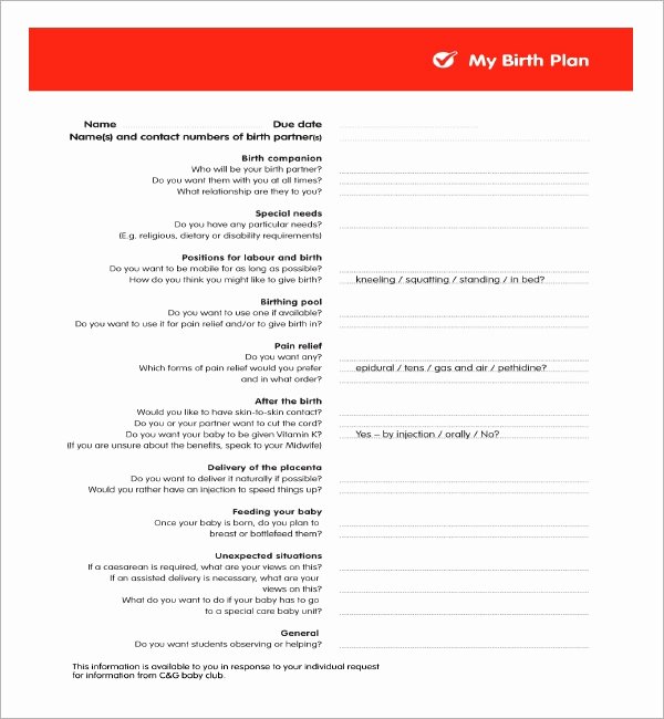 Sample Birthing Plan Template Lovely Birth Plan Template 20 Download Free Documents In Pdf Word