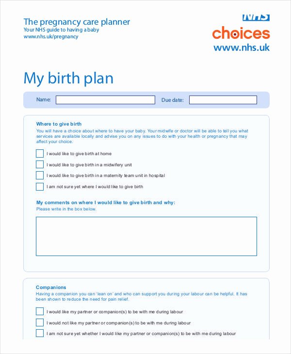 Sample Birthing Plan Template Luxury Birth Plan Template 17 Free Word Pdf Documents