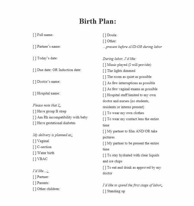 Sample Birthing Plan Template New 47 Printable Birth Plan Templates [birth Plan Checklist