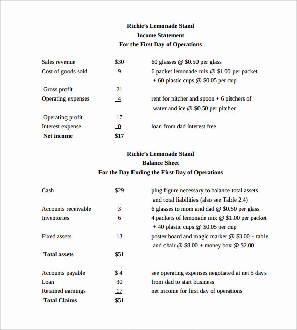 Simplified Income Statement Template Best Of Simple In E Statements 6 Free Documents to Download