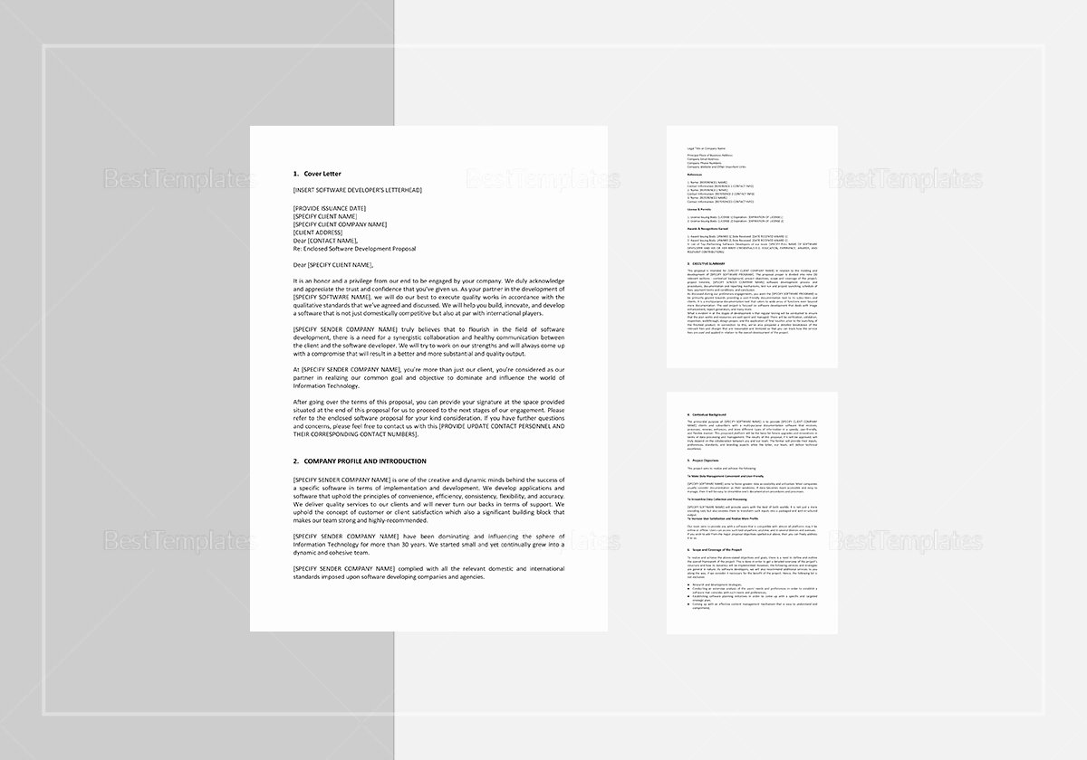 Software Development Proposal Template Awesome software Development Proposal Template In Word Google