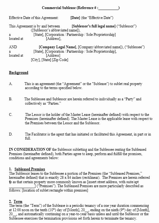 Sublease Agreement Template Word Lovely 13 Free Sample Fice Sublease Agreement Templates