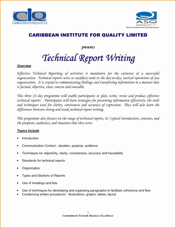 Technical Report Template Word Beautiful Technical Report Template
