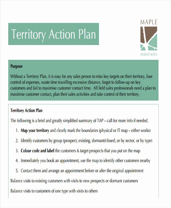 Territory Management Plan Template Luxury 38 Sales Plan Examples Pdf Word Docs
