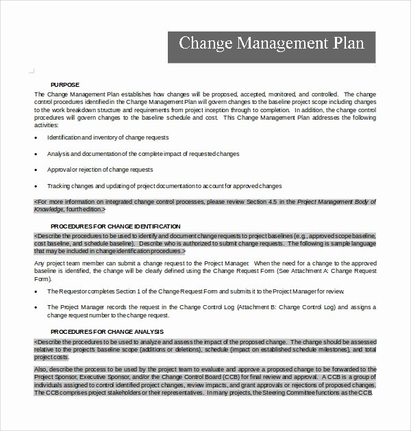 Transition Management Plan Template Best Of Sample Change Management Plan Template 13 Free