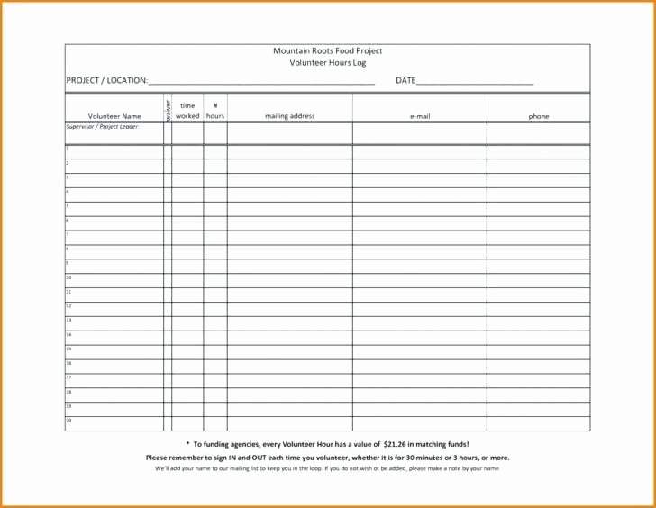 Volunteer Hours Log Template Awesome Munity Service Printable Worksheets