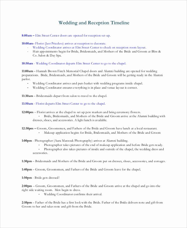 Wedding Reception Timeline Template Fresh Sample Wedding Timeline 7 Documents In Pdf