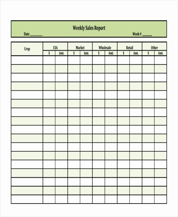 Weekly Sales Report Template Lovely 45 Sample Weekly Report Templates Word Pdf