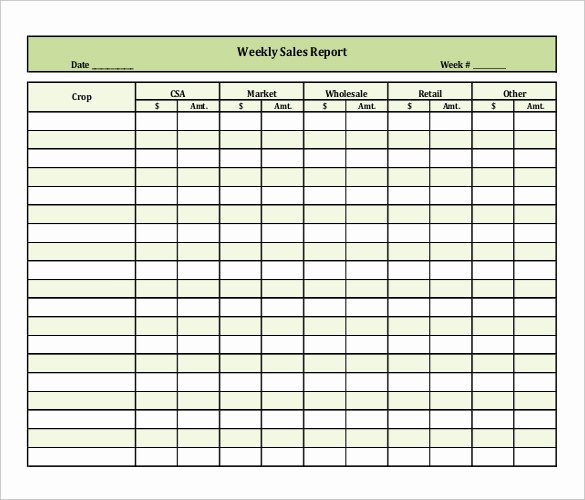 Weekly Sales Report Template New 16 Sales Report Templates Docs Pages Pdf Word