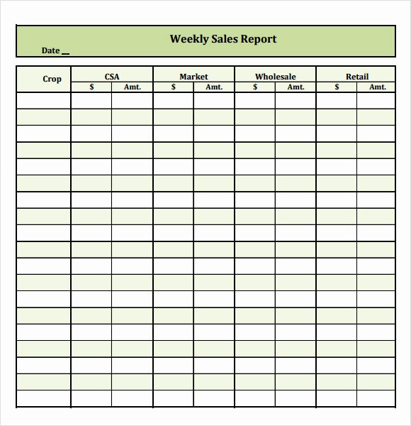 Weekly Sales Reports Templates Luxury Sample Sales Report 16 Example format
