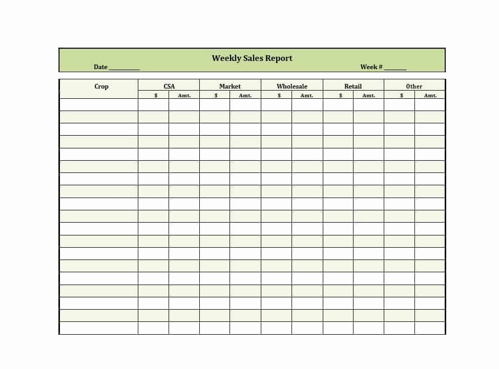 Weekly Sales Reports Templates New 45 Sales Report Templates [daily Weekly Monthly Salesman