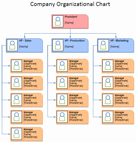 Word org Chart Templates Fresh Free organizational Chart Template Pany organization