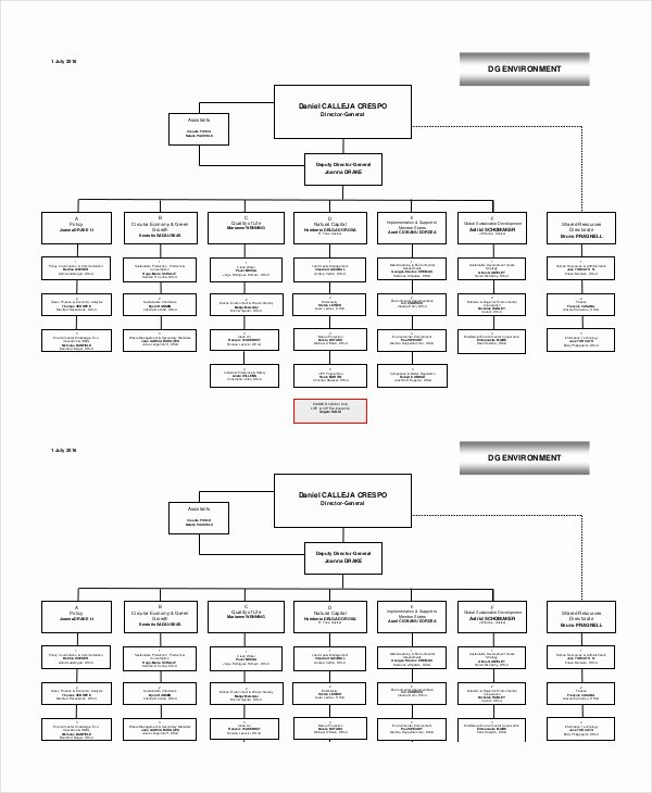Word organizational Chart Template Awesome 25 Best Free organizational Chart Template In Word Pdf Excel