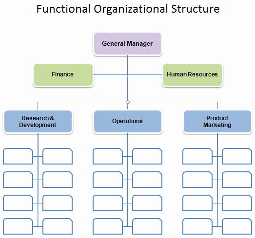 Word organizational Chart Template Luxury Free organizational Chart Template Pany organization