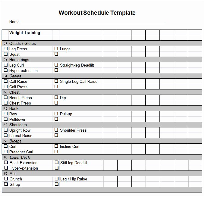 Workout Log Template Excel Beautiful Workout Template Excel