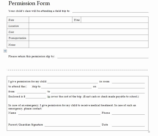 Youth Group Permission Slip Template Awesome Permission Slip Templates 8 Free Samples Template Section