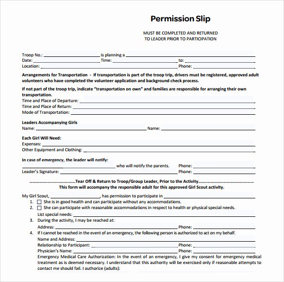 Youth Permission Slip Template Awesome Permission Slip Templates 8 Free Samples Template Section